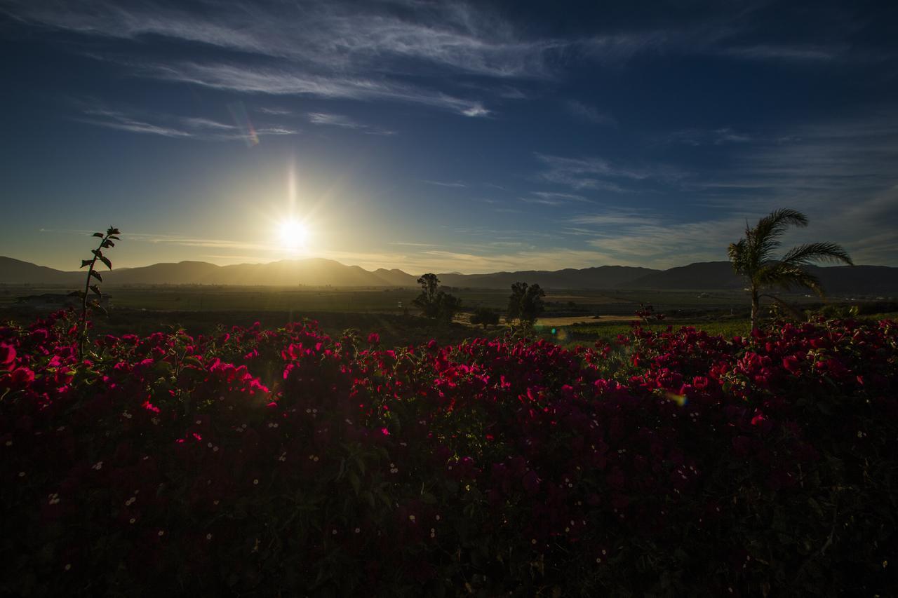 Hacienda Guadalupe Hotel Екстер'єр фото