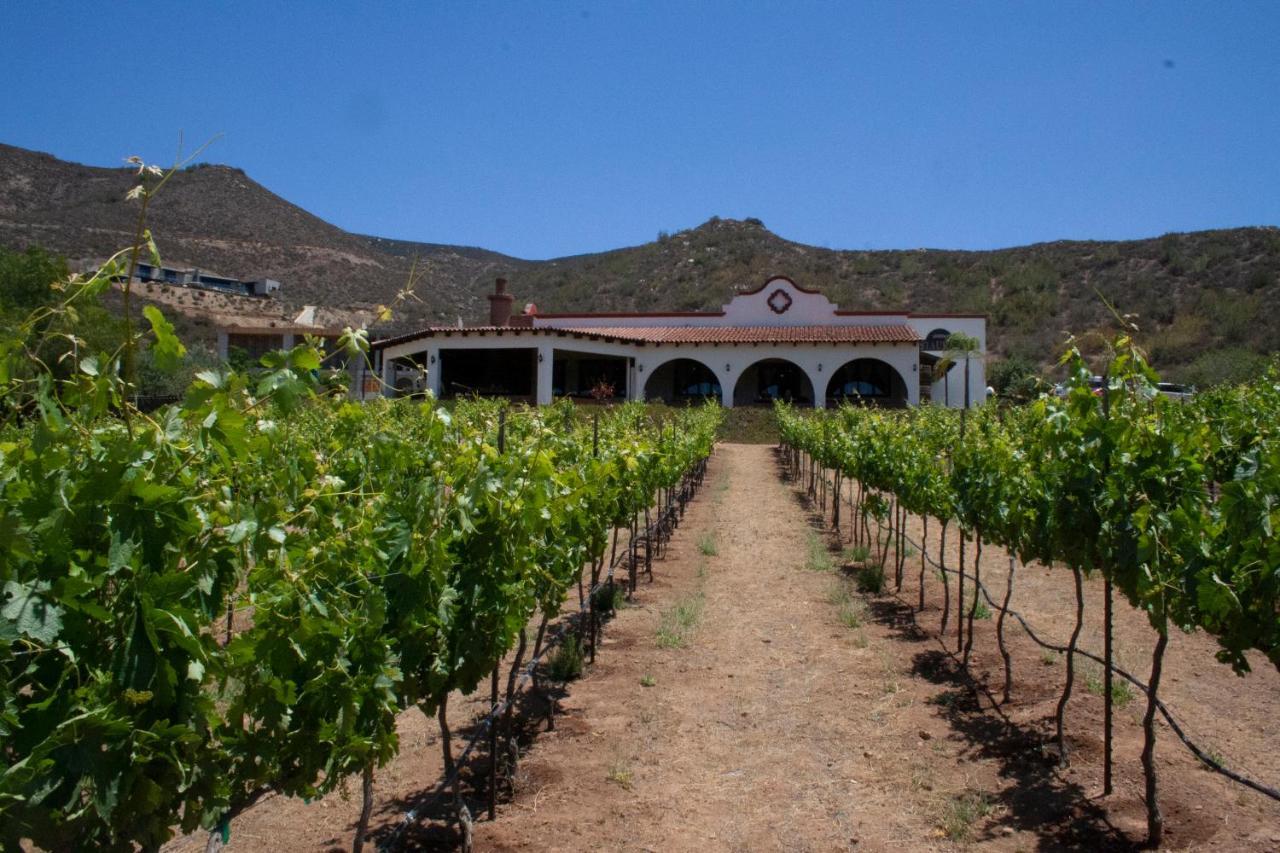 Hacienda Guadalupe Hotel Екстер'єр фото