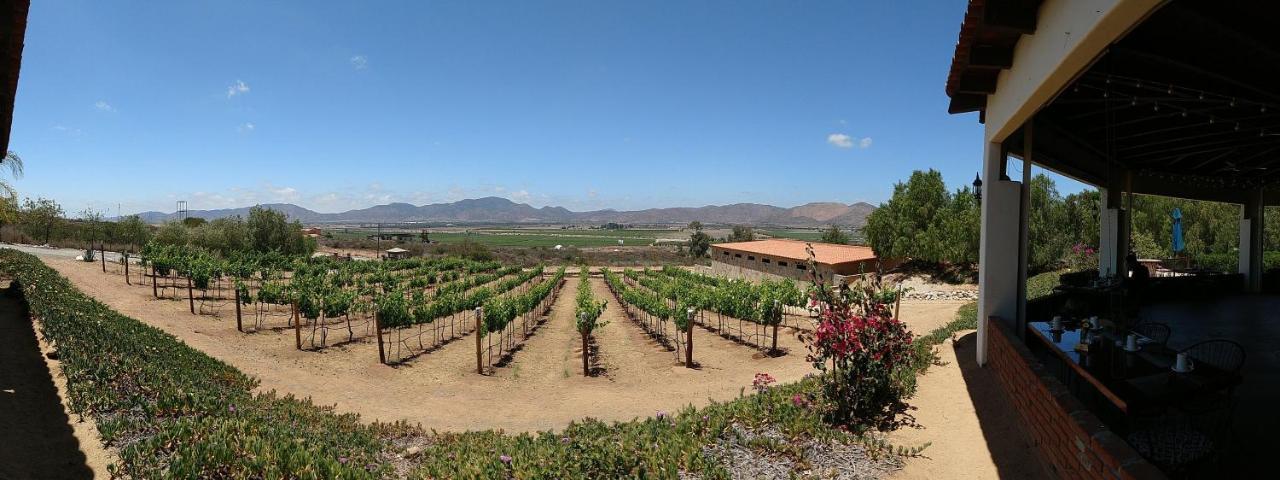 Hacienda Guadalupe Hotel Екстер'єр фото
